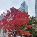 감성공인중개사사무소 이미지