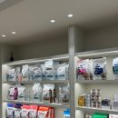 큰동물병원 이미지