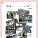 매일에스디 이미지