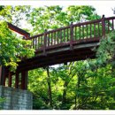 덕산농협주유소 이미지