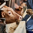 함양동물병원 이미지