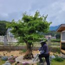 지산퇴비 네이버블로그