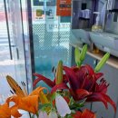 이마트24대전월드컵점 이미지