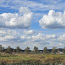 푸른하늘 이미지