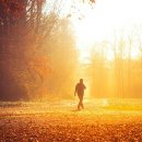 (주)사람과풍경 이미지