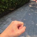 [Day1] 발리를 갑자기 또 가게됐답니다..? 어이없어 진차