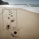 기초생활영어(초급) 이미지