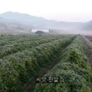 서리농장 이미지