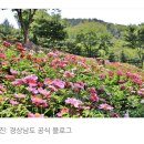 함박공원　 이미지