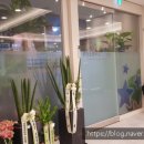 삼성푸른소아청소년과의원 이미지