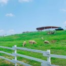 고요목장 이미지