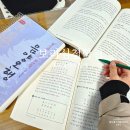 포항 사주 배우는 곳 보리심 철학관 사주 타로 교육받아 본 후기