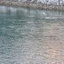 블레스밀 이미지