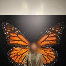 사바나동물병원 | 뉴욕 자유여행 일정 코스 추천｜자연사박물관(AMNH) 방문기- 공룡 화석·대왕고래·우주관까지
