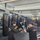 용인대SM복싱클럽 길동점 이미지