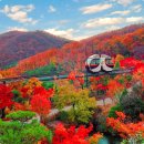 종로-종로-종로-종-231 | 가을 꼭 가봐야 하는 단풍 국내 대표 명소 TOP 21
