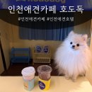 코리아세븐인천연수점 | [인천 연수] 인천 애견카페ㅣ호도독ㅣ애견놀이방