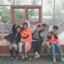 딸기밭 부농 이미지