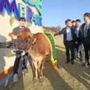 임실축산농협 이미지