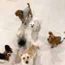 주견야독 이미지