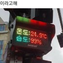 제주일상 이미지