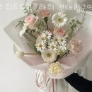 스위트드림플라워 이미지