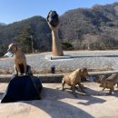 도계조형물 티스토리