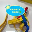 모몽 애견 용품 추천 | 베트레스카 뉴욕 크로마 하네스 구매 후기