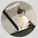 팽피시카페 삼덕점 이미지