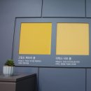 학성스포렉스 | 140년 전통 씰리침대 인천고잔점 OPEN! 공식인증대리점에서 침대사고 사은품 챙기자~