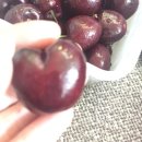 제이제이PC방 | ✌️👌