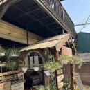 P-6107 | [베트남 사파] 사파 여행 3일차 : 따반 마을 트래킹