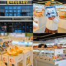 (주)자연담은공간 | 제주 소품샵 거리 제주도 감성 소품샵 서귀포 소품샵 후기