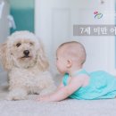 심천부항기 네이버블로그
