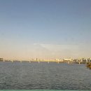 오복동물치과병원 | 강아지 치아 발치 고민된다면｜오복동물치과병원 실제 내원 후기