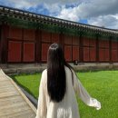 강남구청역 미용실 내돈내산 탈색모 매직후기 푼다