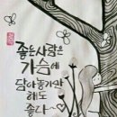 금빛잉어 이미지