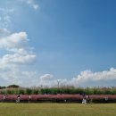 을숙도 철새공원 이미지