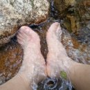 금성클럽 이미지