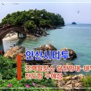 3월18일(토)안산 시티투어 (탄도누에섬-바다향기 수목원-대부광산퇴적암층둘레길)/마감 이미지