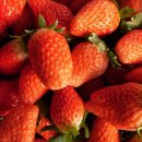 장희농장 이미지