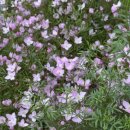 주암동농장 이미지