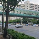 샘모루초교 이미지