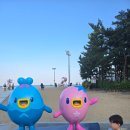 속초해수욕장 | 속초해수욕장 후기, 속초아이 관람차 + 앙젤루스 아이랑 다녀왔어요