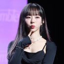 비비정지 이미지