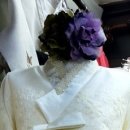 보가주단 이미지