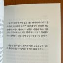 낭만청춘