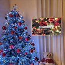 스테이 하루 이미지