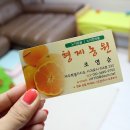 귤맛좋네
