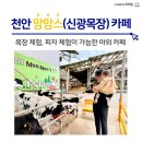 신광유치원 | 천안 맘맘스(신광목장) 카페, 목장 체험과 피자체험이 가능한 야외카페, 천안 아이와 가볼만한 곳, 대전...